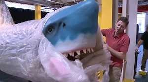 Giant sea creatures land at Omaha Children's Museum