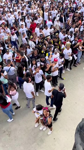 Cuentas recomendadas