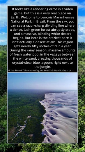 The "Glitch in the Matrix" in Brazil 🌳🏜️