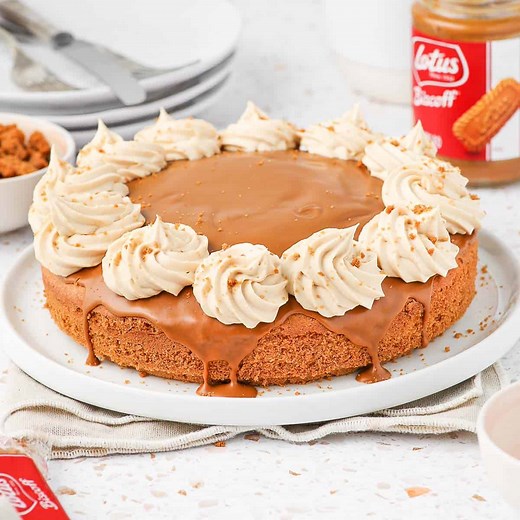 Easy Biscoff Cookie Butter Cake