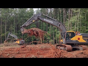 Cleaning Up The Logging Deck And House Lot