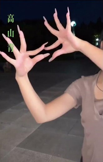 Fengbao's Hand Dance to Taiwan Folk Song The Girls of Alishan Cultural Art Expression