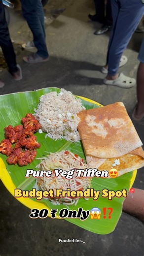 🥵30rs வெஜ் டிஃபின்ஸ் ல தரீங்களா💥😱⁉️ #food #viral #tiffen #30rs #paneer65 #dosa #trending #veg