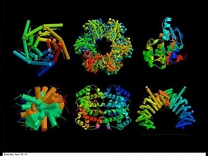Foldit: Crowdsourcing Protein Folding