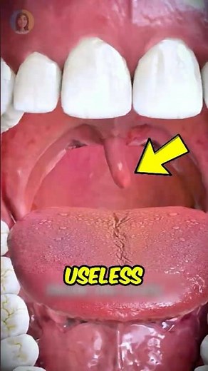 Watch this! If You Think That Dangly Thing in Your Throat Is Useless ‼️😱