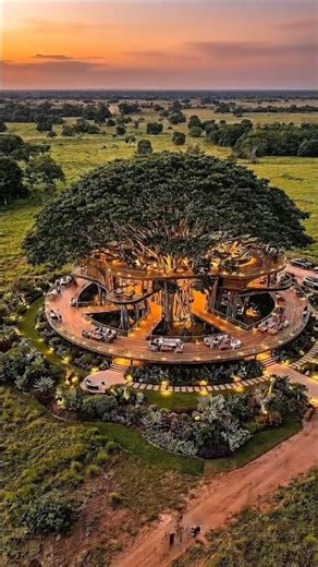 #banaraslitfest #corporation #restoration #shortsfeed