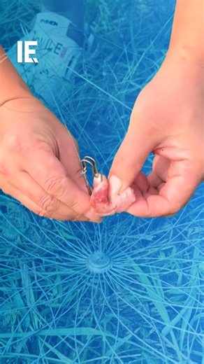 Would you trade your fishing rod for this? 📹: fishcampvietnam / IG | Interesting Engineering