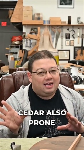 Cedar vs. Spruce for Guitars: Humidity Test!