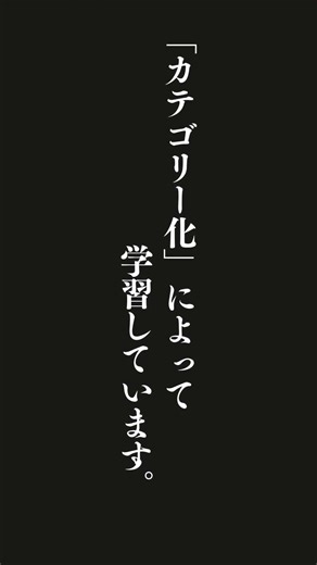 私たちは、生まれてからこの方、脳を発達させていく過程で、物事の共通点を見つけては仲間分けし、違うものは区別するという「カテゴリー化」によって学習しています。このような学習法では、似ている部分が強調され