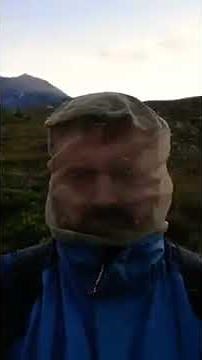 Scottish Midge Insect Swarm in Huge Numbers and Stick to Man's Body - 1068386