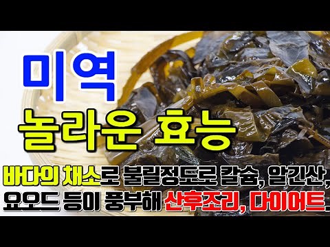 미역의 놀라운 효능 8가지 & 부작용 / "바다에서 온 건강의 충전소: 건강과 아름다움을 위한 최고의 식재료"