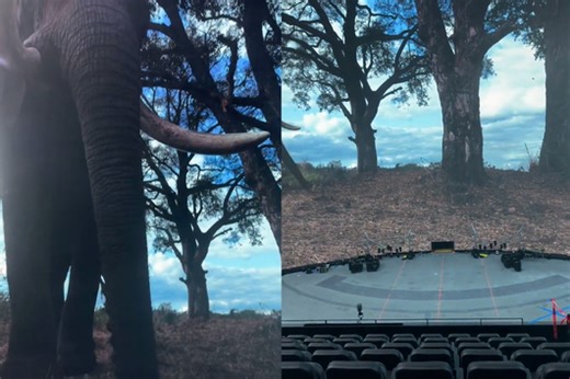 Sneak peek: Darren Aronofsky unveils 'Postcard From Earth' in first glimpse