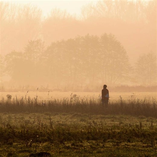 🥾 Wandeltip: aan de noordrand van de Veluwe ligt landgoed Hulshorst. Vanaf hier wandel je via prachtige (kasseien)paadjes en weids grasland naar het Veluwemeer. 👉 Lees de reportage, bekijk de route en download de gps-track via : bit.ly/wandelen_veluwe_herfst | Roots