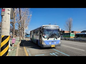 [주행영상] 부산시내버스 80번