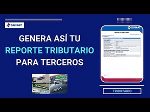 How to generate the Tax Report for Third Parties | SUNAT