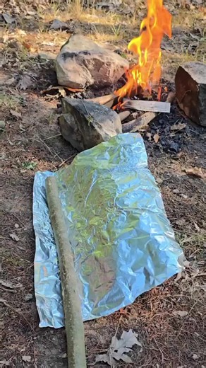 How to Build a Zero-Cost Cooking Grate in the Wild #survival #skills #camping #usa_tiktok #fyp