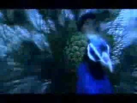 India Land of the Tiger - Main Theme