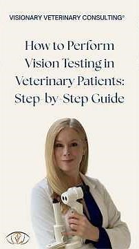 How to Perform Vision Testing in Veterinary Patients: Step-by-Step Guide