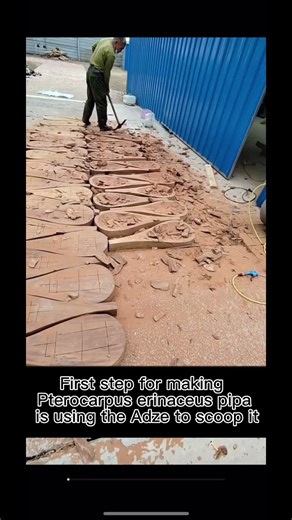 This is the first step to make a Pterocarpus erinaceus “Pipa” #makingpipa #琵琶 #pipa #makinginstrument