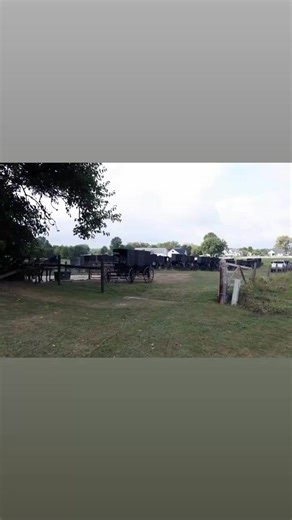 18K views · 88 reactions | Increased Amish Buggy Traffic Expected on...