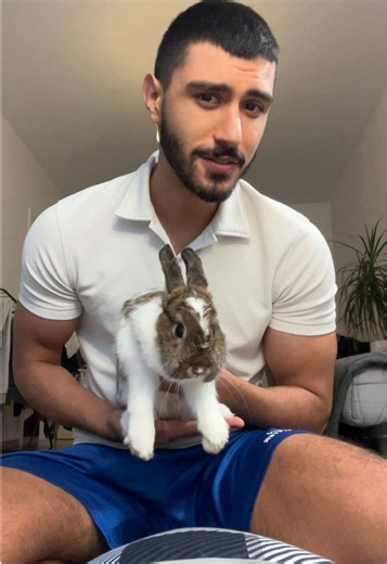 Toxic Foods for Pet Rabbits: What to Avoid