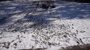 Girls Dorm Life - Episode 13