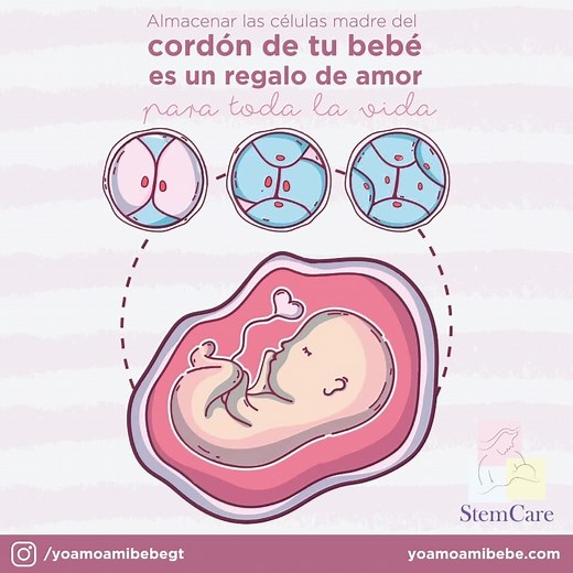 Stem Care - Banco de Células Madre de Cordón Umbilical