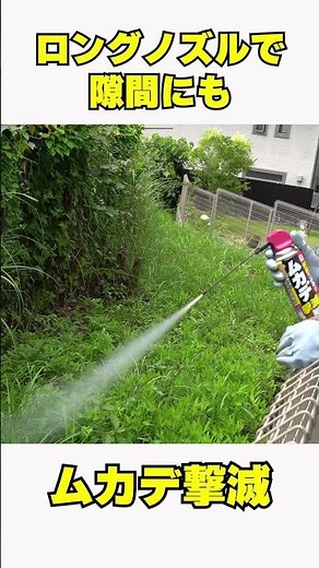 [Centipede insecticide spray] Instantly stops the movement of centipedes and kills them! Also eff...
