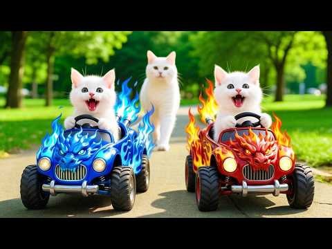 Mama Cat Trims Fur on the Farm and Makes Tiger Hat For Kittens At Home🐾🎩🐯