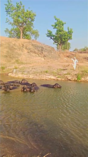 10 એપ્રિલ, 2026