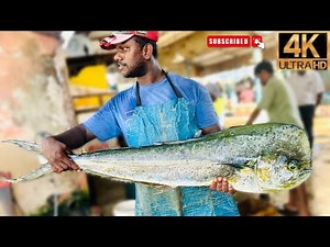 🐬 Amazing! Dolphin Fish (Mahi-Mahi) for Cooking! 🍽️ | Step-by-Step Guide 🐟✨#fishcutting #fishcooking