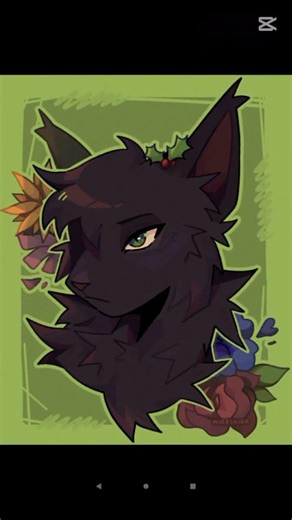 HawkFrost,Hollyleaf,JayFeather And Ivypool