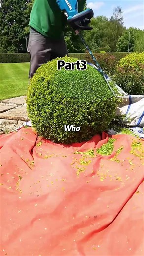 Family Demands House: Reddit Story Reading