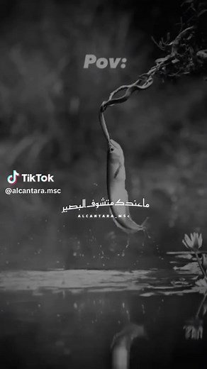 Pause Flow 2024: Episode 112 du Rap Marocain