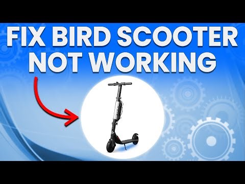 How To Fix Bird Scooter Not Working (How To Handle This Issue On Your Bird Scooter)