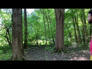 DIY Family Treehouse Ep 1: Location and Planning