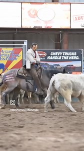 1.7M views · 34K reactions | It's always a good time raising money for the future of cutting! Thank you Arizona Cutting Horse Association for a great costume bridleless cutting raising money for the youth fund!  @wisehartcuttinghorses  Lamell Photography | Best of America by Horseback | Facebook