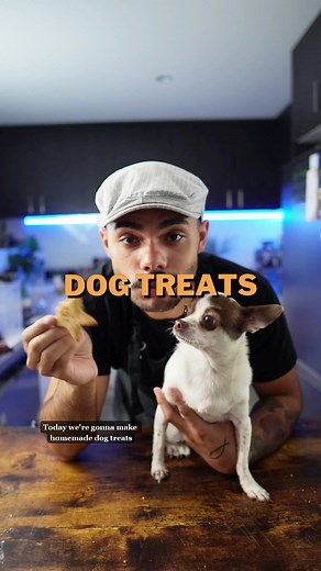 Homemade Dog Treats Recipe