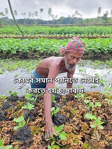 2.2M views · 35K reactions | Farming has to be done in waist-deep water #agriculture #hardwork #life | Imran Vlog BD | Facebook