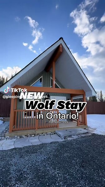 Nueva experiencia: hospedaje con lobos en Ontario
