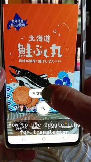 Using Google Lens for translation of non-English characters