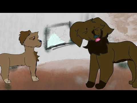 Part 8 pmv survivors map