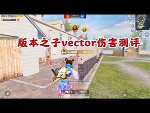 版本之子vector伤害测评！团队竞技最强近战武器，马上就要被削