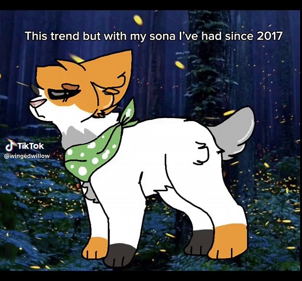 From a warriors oc, to an original character, to my sona!! She has gone THROUGH it but stays silly despite it all 🫡 #trend #bittersweetsymphony #furry #furryfandom #furryoc #furrytrend #furrytiktok #furryart #animation #animationmeme #octrend #trending #fyp #fypシ #foryoupage #fyppppppppppppppppppppppp #fursona #warriorcats #warriors #warriorcat #flipaclip