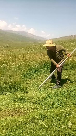 Cutting Grass in Rural Landscape: A Peaceful Scene