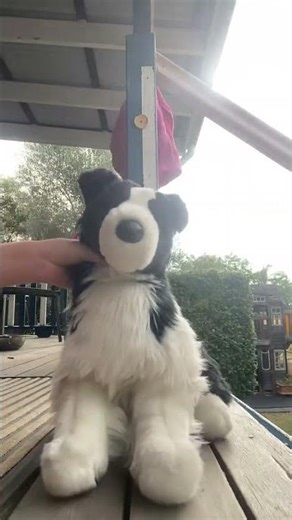 { lil lip sync thing :) }#haveagoodday #cute #essa #stuffedanimals #essalipsync