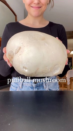 Carleigh Bodrug | 🍄 every fall I love to post this video of my dad and I foraging a puffball mushroom. 💖These gigantic mushrooms grow across North America... | Instagram