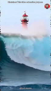 7.4M views · 215K reactions | World most dangerous job Part 2 #factsiyana #fbreelsvideo #reelsvideo #trendingreels #facebookreels #reelsviral #technology #science #sciencefacts #techtips #tips #knowledge | fact.siyana | Facebook