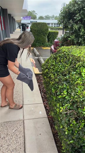 Finding the Perfect Pointe Shoes for Dancers