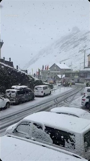❄️❄️❄️ Neve! Siamo al Passo dello Stelvio! 1/7/26 #news #meteo #snow